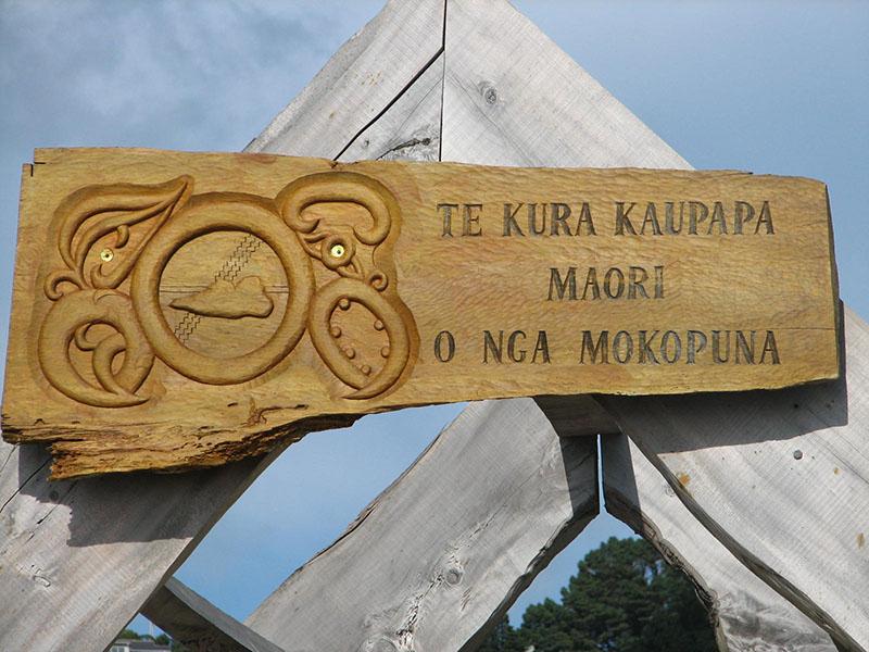 A wooden sign with the words “TE KURA KAUPAPA MAORI O NGA MOKOPUNA”. There is also a carving of a cloud inside a circle, surrounded by leaves and seed pods.