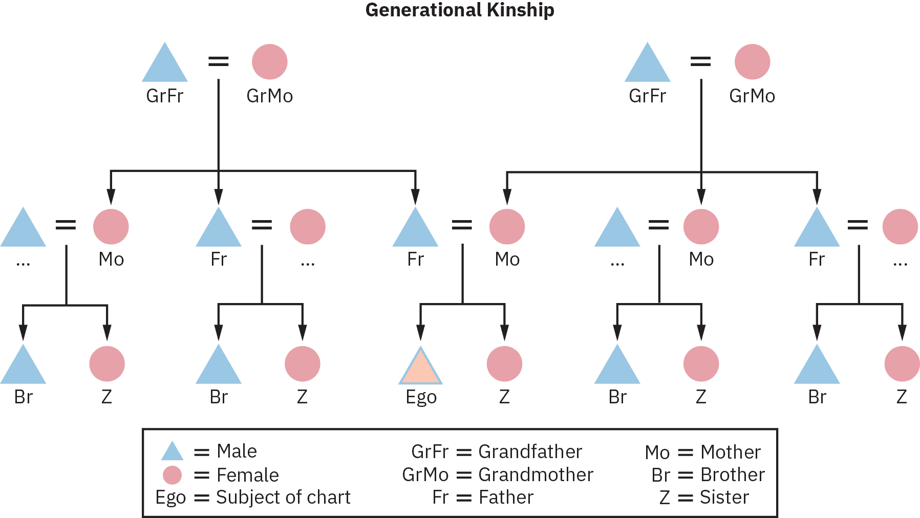 A Generational Kinship chart of three generations, starting from two sets of grandparents, as grandfather and grandmother respectively, their children, including father and mother, and their children being designated as brother and sister.