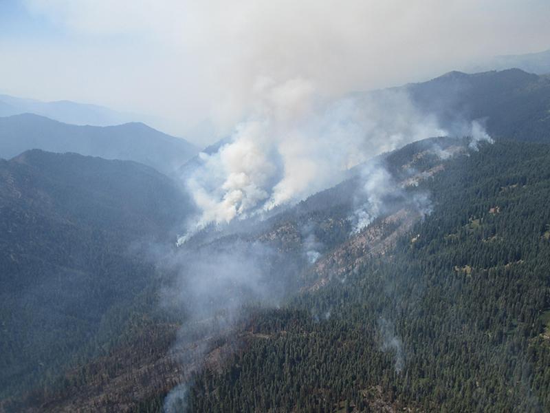 Small wisps and large clouds of smoke rising above the trees and into the sky above a mountain horizon.