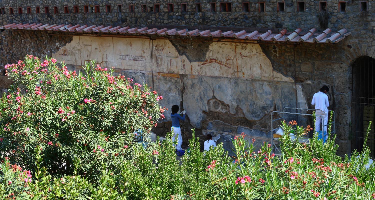 Several people stand facing a wall, some scraping at it with tools and one standing on a scaffolding. Flowering bushes appear in the foreground of the image.