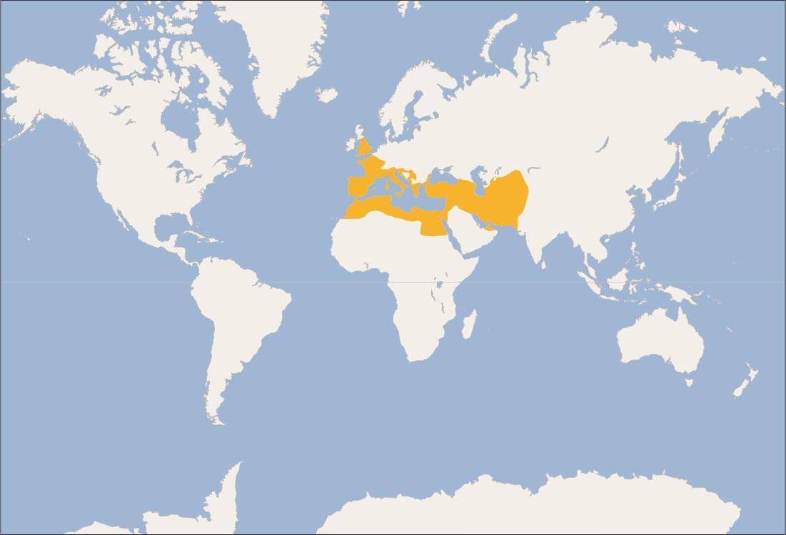 A map of the world is shown, land highlighted in white and water in blue. A white line runs through the middle of the map. The northern section of Africa (Morocco, Algeria, Tunisia, Libya, and Egypt) and the countries of Lebanon, Syria, Turkey, Greece, Serbia, Italy, France, England, Spain, and Portugal are highlighted orange.