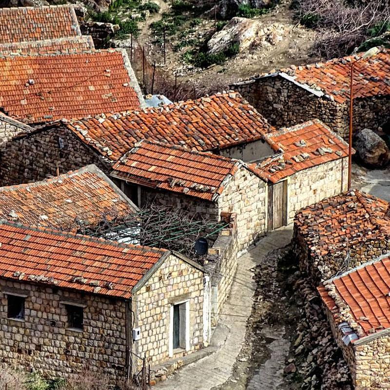 A color photograph of a group of building in Algeria, built by the Kabyle people. The single-story buildings are constructed of stone with tile roofs. They stand very near to one another, with only narrow passageways separating them. Many are constructed in an L-shape, with two separate portions connecting at a right angle.