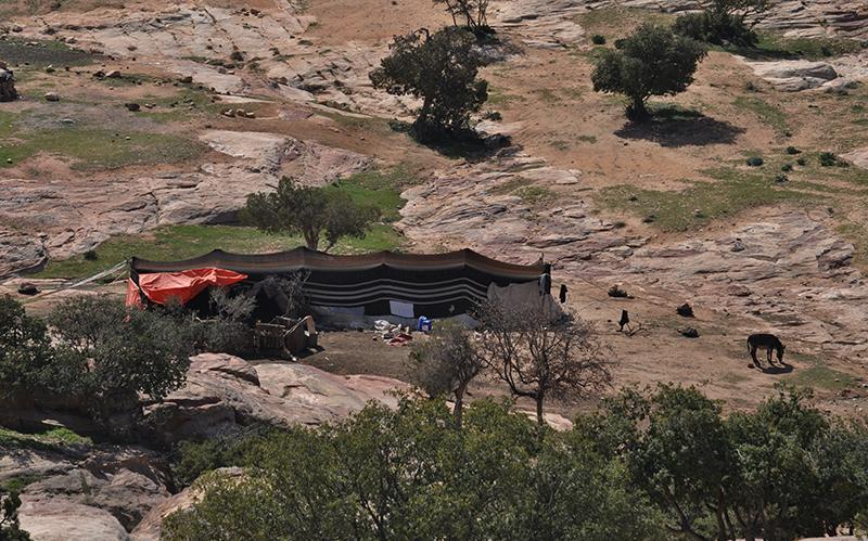 A long tent with about 5 sedtions is situated on land that is mostluy dirt with some patch grass and trees. Several animals are grazing around it.