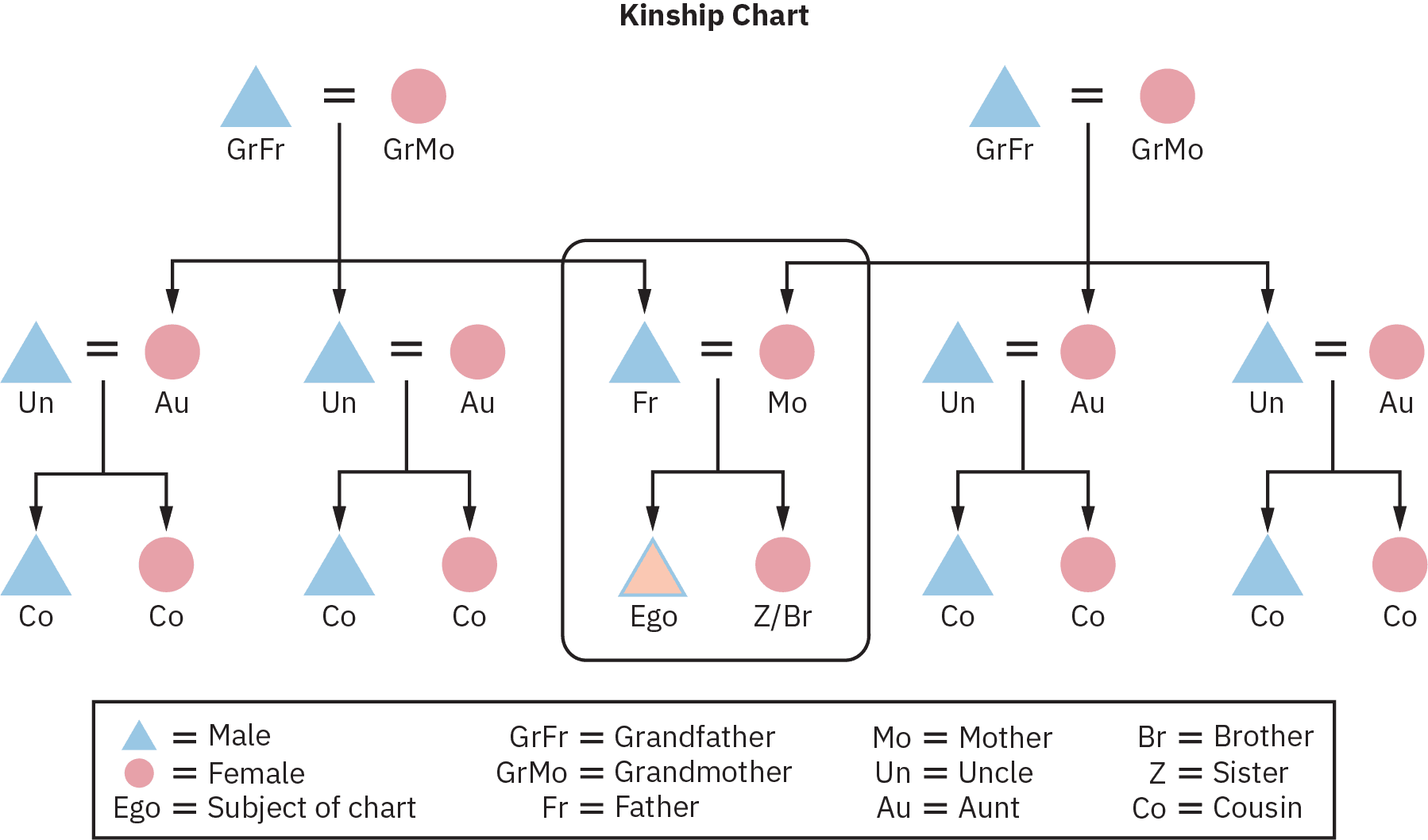 A generic kinship chart of three generations, starting from two sets of grandparents, as grandfather and grandmother respectively, their children, their respective wives, children, and a union of the male child of one family with the female child of the other family, who in turn produce the subject of the chart and a brother or sister.