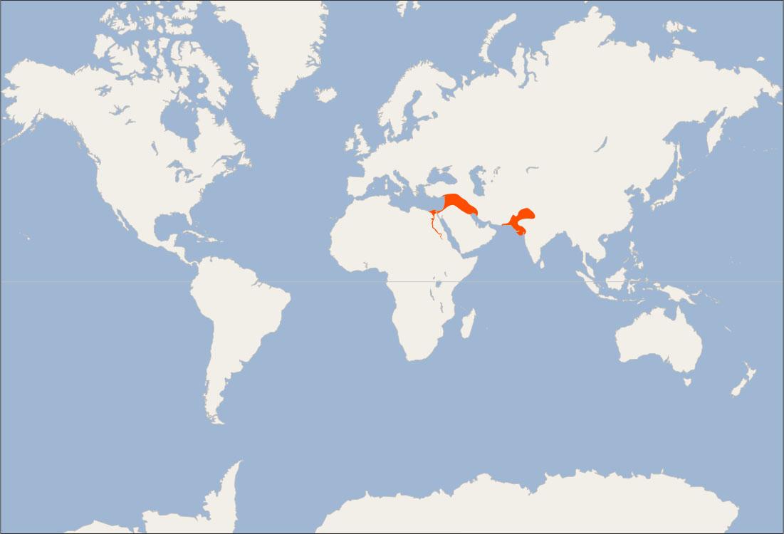 A map of the world is shown, land highlighted in white and water in blue. Egypt, Iraq, a western corner of India, and most of Pakistan, and a small northern portion of India are highlighted red.