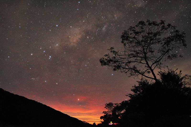 Scenic view displaying countless stars throwing white light across the field.