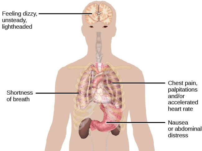 A diagram shows an outline of a person’s upper body. Within this outline, some of the major organs appear. The brain is labeled, “Feeling dizzy, unsteady, lightheaded.” The heart is labeled, “Chest pain, palpitations and/or accelerated heart rate.” The lungs are labeled, “Shortness of breath.” The stomach is labeled, “Nausea or abdominal distress.”