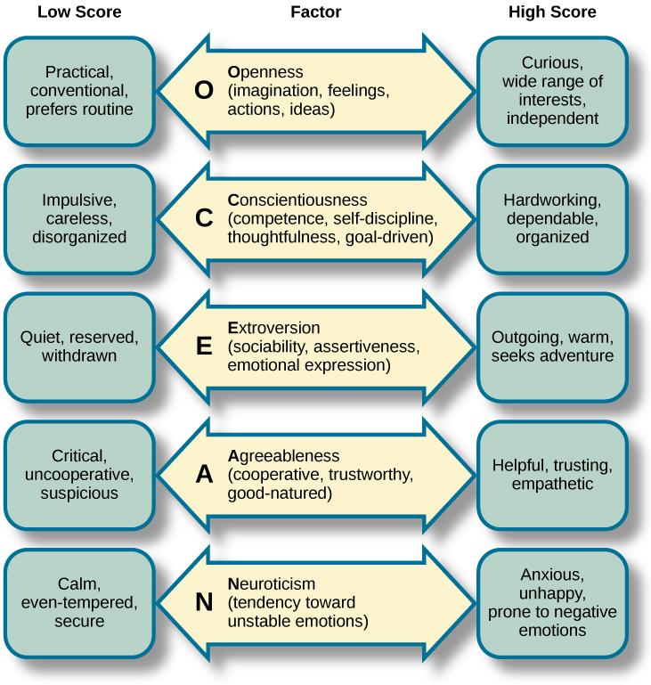 A diagram includes five vertically stacked arrows, which point to the left and right. A dimension's first letter, name, and description are included inside of each arrow. A box to the left of each arrow includes factors associated with a low score for that arrow's dimension. A box to the right of each arrow includes factors associated with a high score for that arrow's dimension. The top arrow includes the factor “openness,” which is described with the words, “imagination,” “feelings,” “actions,” and “ideas.” The box to the left of that arrow includes the words, “practical,” “conventional,” and “prefers routine,” while the box to the right of that arrow includes the words, “curious,” “wide range of interests,” and “independent.” The next arrow includes the factor “conscientiousness,” which is described with the words, “competence,” “self-discipline,” “thoughtfulness,” and “goal-driven.” The box to the left of that arrow includes the words, “impulsive,” “careless,” and “disorganized,” while the box to the right of that arrow includes the words, “hardworking,” “dependable,” and “organized.” The next arrow includes the factor “extroversion,” which is described with the words, “sociability,” “assertiveness,” and “emotional expression.” The box to the left of that arrow includes the words, “quiet,” “reserved,” and “withdrawn,” while the box to the right of that arrow includes the words, “outgoing,” “warm,” and “seeks adventure.” The next arrow includes the factor “agreeableness,” which is described with the words, “cooperative,” “trustworthy,” and “good-natured.” The box to the left of that arrow includes the words, “critical,” “uncooperative,” and “suspicious,” while the box to the right of that arrow includes the words, “helpful,” “trusting,” and “empathetic.” The next arrow includes the factor “neuroticism,” which is described as “tendency toward unstable emotions.” The box to the left of that arrow includes the words, “calm,” “even-tempered,” and “secure,” while the box to the right of that arrow includes the words, “anxious,” “unhappy,” and “prone to negative emotions.”