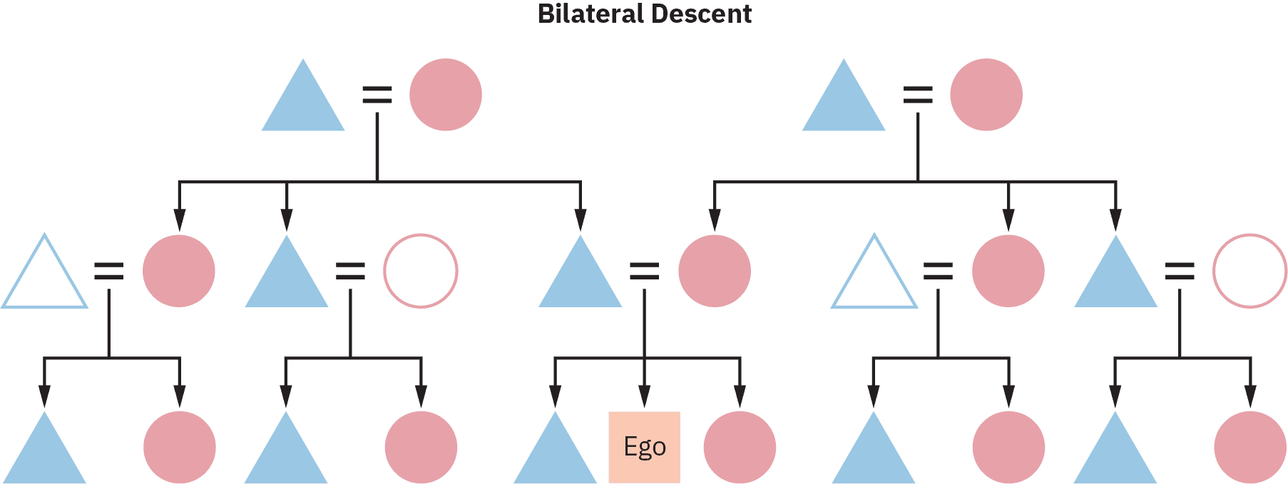 A Bilateral Descent chart of several generations. All offspring in this chart trace their lineage through both mother and father.