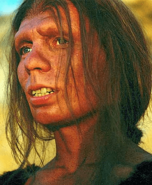 A picture of a woman is shown. She is brown-skinned with long, thin, messy, brown hair that falls to her shoulders in wisps. Her blue eyes are round and set in thick, high, hairless brow ridges. Her nose is small and rounded and her lips are thin and show large teeth. She wears furry clothing on her shoulders.