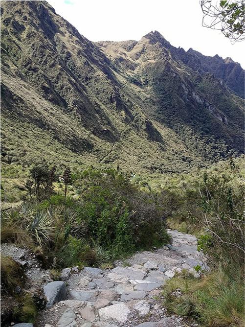 A photo is shown of a hilly landscape with a green bushes along the bottom. A white rocky path is shown in the forefront.