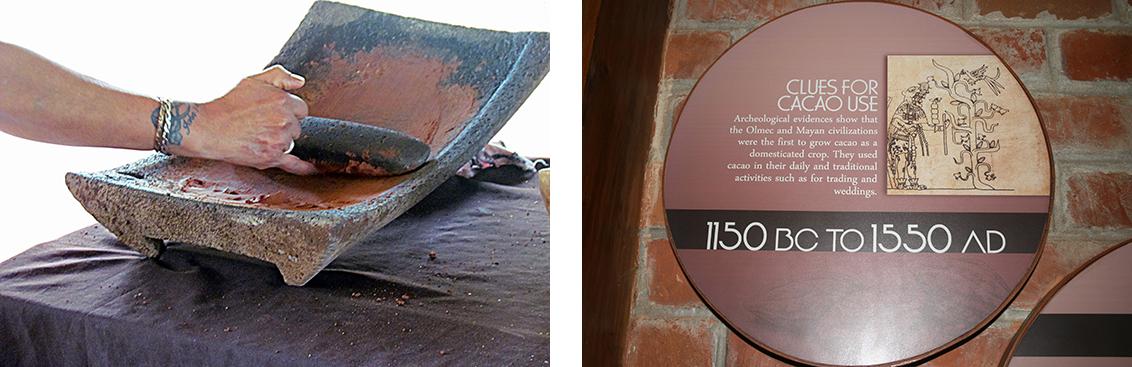 (left) Wide, shallow grinding stone with a hand holding an oblong-shaped grinder in its center; (right) A circular sign in a museum with the following text: “Clues for Cacao Use - Archaeological evidence shows that the Olmec and Mayan civilizations were the first to grow cacao as a domesticated crop. They used cacao in their daily and traditional activities such as for trading and for weddings. 1150 BC to 1550 AD.”