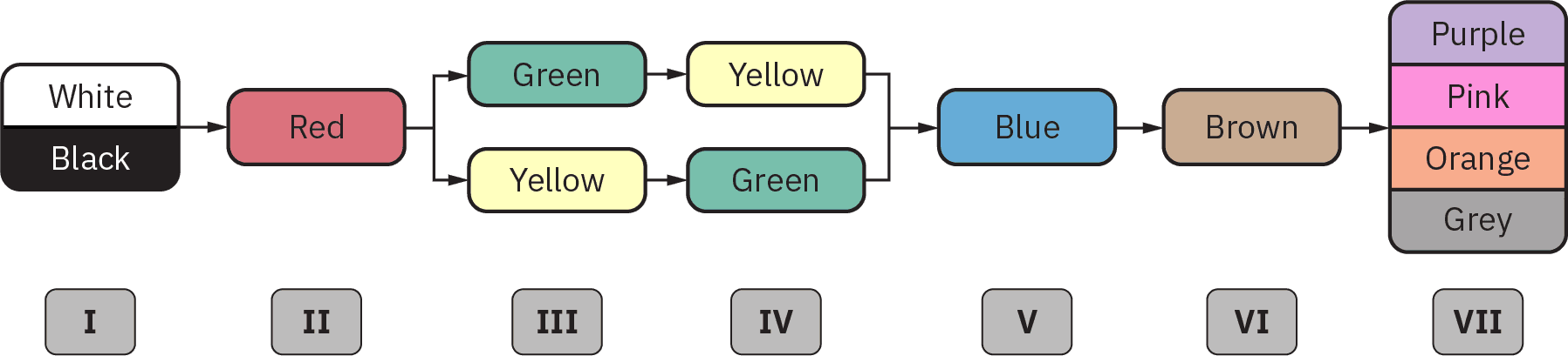 A diagram depicting the following: at Stage 1, markers for “White” and “Black”; at Stage 2, a marker for “Red”; at Stage 3, markers for “Green” and “Yellow≵; at Stage 4, markers for “Yellow” and “Green”; at Stage 5, “Blue”; at Stage 6, “Brown”; and at Stage 7, “Purple,” “Pink,” “Orange,” and “Grey”.