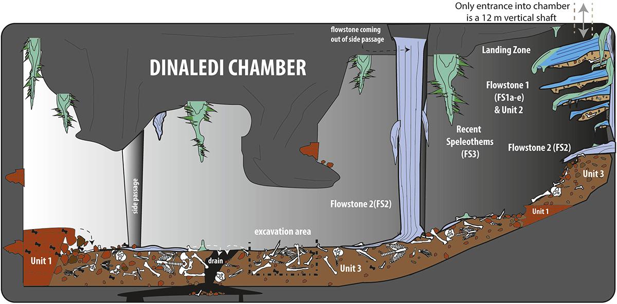 Sketch of a cave, showing multiple geological features protruding from the ceiling and walls. The “excavation area” is on the floor of the cave, near a feature labelled “drain.”