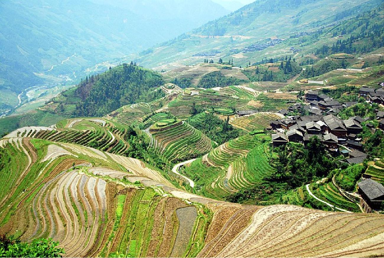 A photograph is shown of a large expanse of mountains with green trees and bushes, beige roads, and black houses in the middle right. In the main forefront of the image, the hills have steps dug into them and look like tiers on all of the hills. The tiers are green, brown, and off white and fill the hills on the bottom two-thirds of the image.