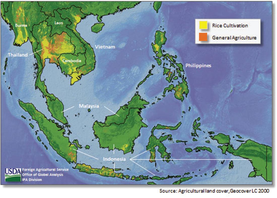 A map is shown with these countries labelled: Burma, Laos, Thailand, Vietnam and Cambodia in the northwest corner of the map. Philippines in the northeast, Malaysia in the southwest and Indonesia along the south. Water is highlighted varying shades of blue and land is highlighted green. Highlighted yellow areas indicate “Rice cultivation” and are located in Burma, Vietnam, Thailand, Cambodia, the Philippines, and in Indonesia. Orange highlighted areas indicated “General Agriculture” and are located in Burma, Thailand, Laos, Cambodia, Vietnam and Indonesia. A label in the bottom left of the map shows a “USDA” seal and the words “Foreign Agricultural Service Office of the Global Analysis IPA Division.” “Source: Agricultural land cover, Geocover LC 2000” is shown below the map in the right bottom.