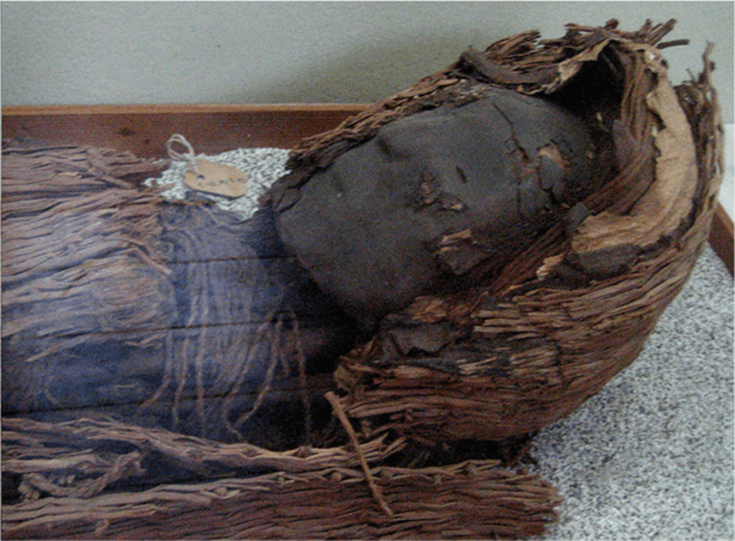 A picture of a black, cracked mask on a wooden body in an old, cracked and splintered piece of wood that surrounds the head up the sides and lies below the body is shown. Shallow eye wells can be seen on the mask as well as the outline of a nose and mouth. The body is painted blue and pieces of reeds are strewn along the torso. A brown tag on a string lies next to the object. The body and the wood are laid on a speckled blue and white surface in a wooden box.