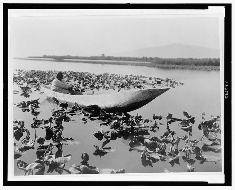 A woman sits alone in a canoe on a placid lake, moving through a patch of water lilies.