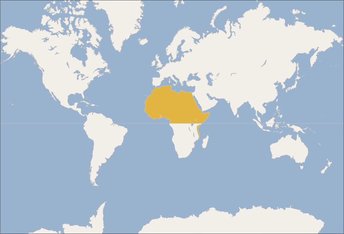 A map of the world is shown. The northern portion of Africa down to the equator is highlighted. The Swahili Coast on the east coast of Africa is also highlighted. The equator is shown.