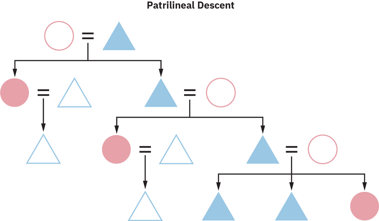 A Patrilineal Descent chart of several generations. All offspring individuals are marked as blue colored triangles and are part of the father's descent, and the descent passes only through the males.