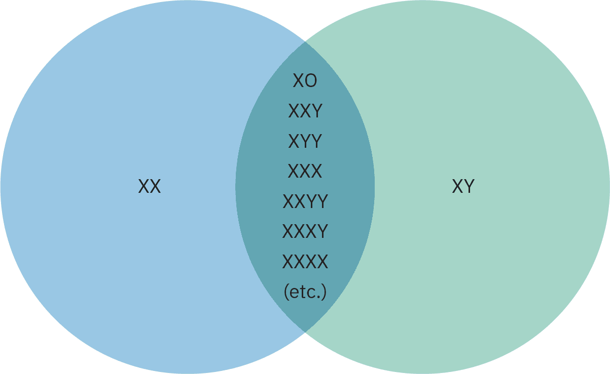 A Venn diagram. In the left circle there are two large XXs. In the right a large X and a large Y. In the center where the circles overlap are the letters XO, XXY,XYY, XXX,XXYY,XXXY,XXXX, (etc.)