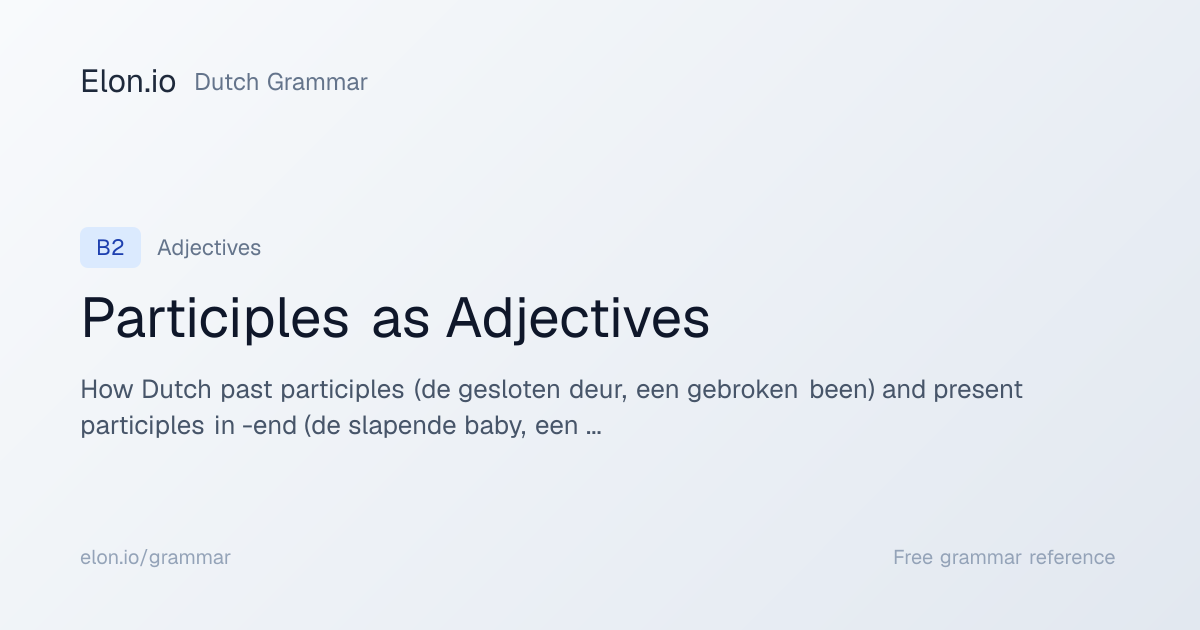 Participles as Adjectives | Dutch Grammar | Elon.io