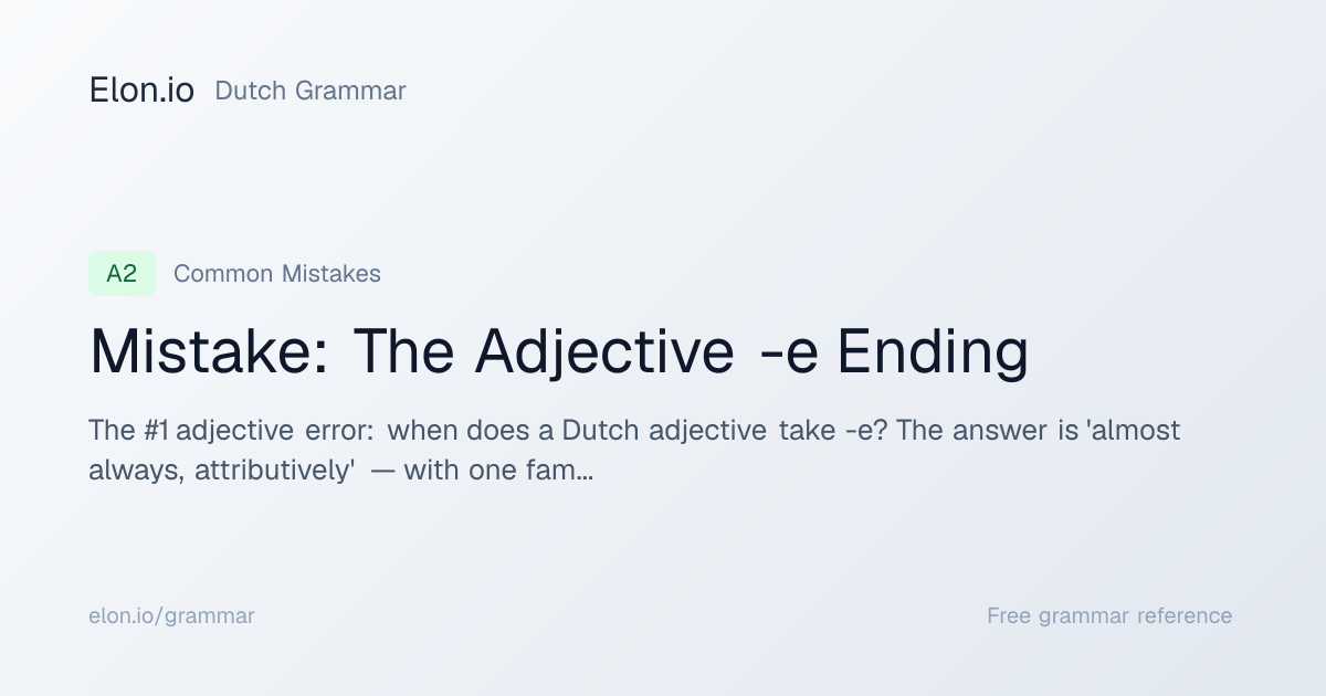 Mistake: The Adjective -e Ending | Dutch Grammar | Elon.io