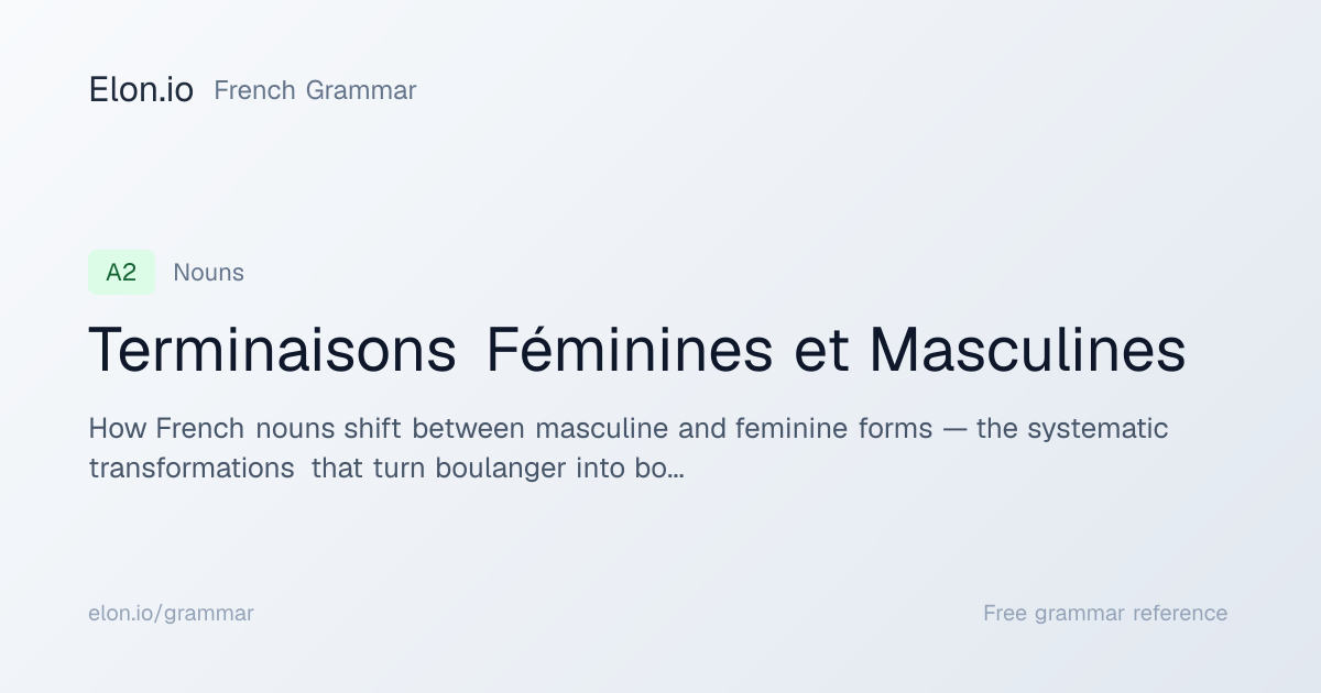 Terminaisons Féminines et Masculines | French Grammar | Elon.io
