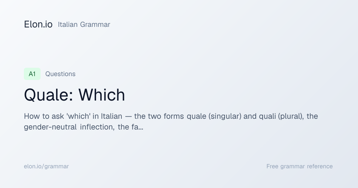 Quale: Which | Italian Grammar | Elon.io